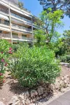 Les Pins d'Alep