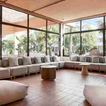 Tent Calvia Beach Others