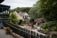 The Rabbit Hotel & Retreat Hotels in Templepatrick