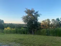 This is your home base for Texas Hill Country fun!