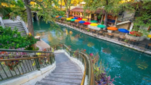 Alamo Heights-Close to Downtown-2 King Beds