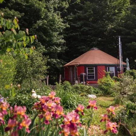 Secluded Yurt, Retreat on a Forest Farm