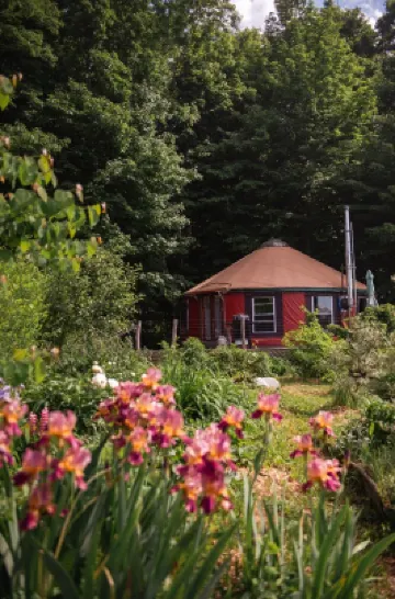 Secluded, Clean Yurt, Retreat on a Forest Farm