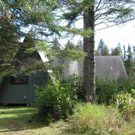Secluded Forest Retreat With The Little Devil Track River Running Through.