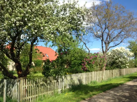 FW Hollerbusch (loft) at the Hollerhof-Oderbruch Отели в г. Гузов-Платков
