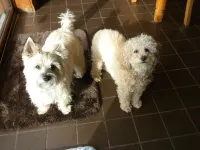 RYAN'S ACADIA CARRIAGE HOUSE - 2 1/2 mi. from town, 1 mi. to Eagle Lake! Hotel a Hancock County