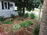 Century Cottage-PERFECT for Mayo & downtown visitors! Hotels near Quarry Hill Nature Center