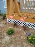 Dog Friendly !! Renovated House in East Panama City, Near Tyndall AFB  & PCB, 帕克住宿飯店