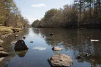 Southern Comfort Cabin- minutes from the river and the lake!