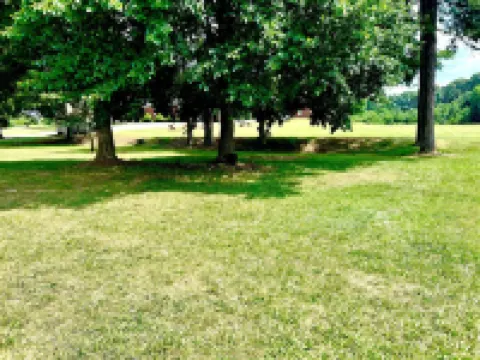 Magnolia "Apt. 620"- Comfy King Size Bed, Kid Friendly, over 70 Amenities