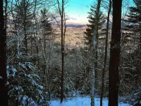 Mountain Cabin with long range views, privacy, and more. Hotels in Campton