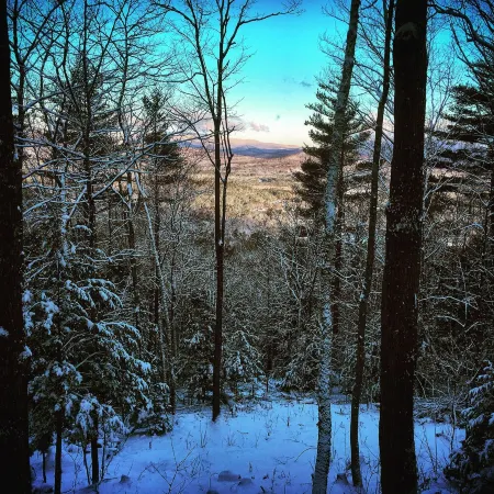Mountain Cabin with long range views, privacy, and more.
