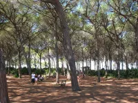 Bella Valle 3 Campagna, Relax in Giardino, Mare a 2 km e la Toscana Tuta Intorno
