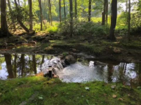 FernRockCabin- A Peaceful getaway in the Laurel Highlands of PA