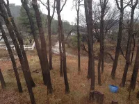 Cozy but roomy cabin in the mountains next to Strawberry Creek