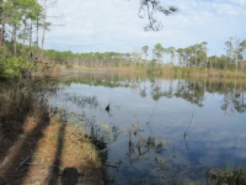 Beachfront, indoor/outdoor pools. Best view on Gulf Coast! NO FEES OF ANY TYPE.