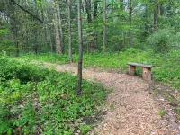 Betty's Cabin in the Woods
