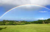 The Treehouse at Hulili Farm - NEW