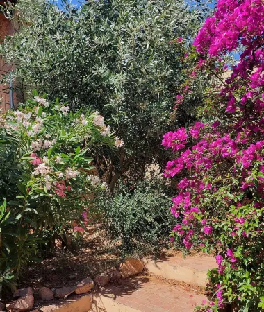 Ferienhaus in Ruhiger Lage mit Riesiger Terrasse mit 2 Schlaf- und 2 Badezimmern Отели в г. Costa Paradiso