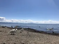 TANTE IDA'S apartment with unique lake and mountain views Hotel a Bodolz