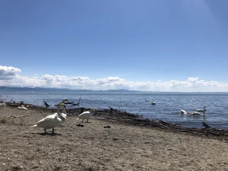 TANTE IDA'S apartment with unique lake and mountain views