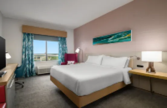 Hilton Garden Inn Orlando I-4 Millenia Blvd Mall Hotels in Orlando