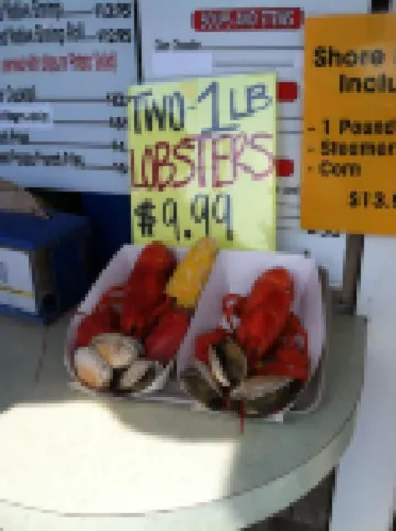 Ogunquit’s only Oceanfront Cottage on Private Ocean Beach – Perkins Cove, Maine