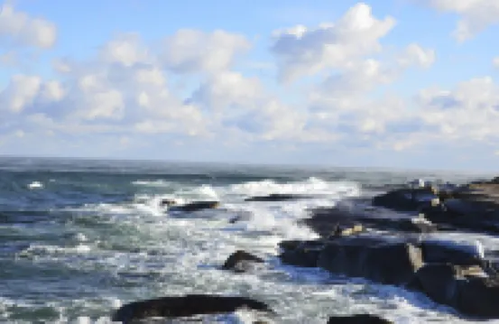 Featured on HGTV's Beach Hunters