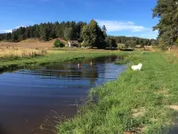 A little corner of paradise