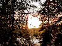 Private cabin in a small mountain town surrounded by pine trees. Snow getaway