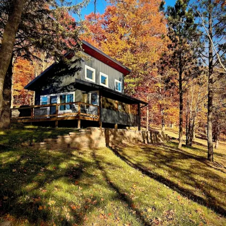 Cozy Peninsula Lake Cabin on 40 Acres