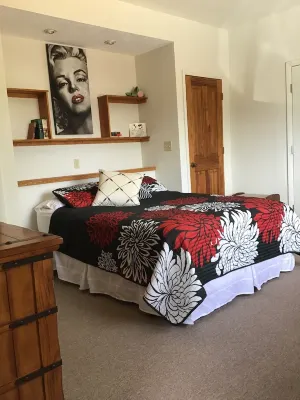 Hint of Nostalgia in Tucson Hotel in zona Feliz Paseos Trails Park Trailhead