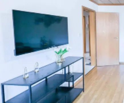 ALFA Stuttgart 3BR 6people Bosch/Porsche INET WIFI