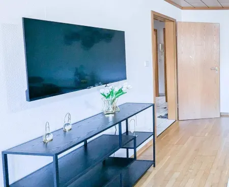 ALFA Stuttgart 3BR 6people Bosch/Porsche INET WIFI