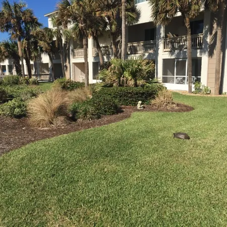 Best Beach view condo 2 story 2br 1.5ba views of ocean,pool & intercoastal.