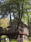Tree house  lots birds  great location . ..... lots to do all summer long ......