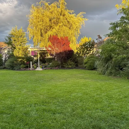 Newly Finished Walk-out basement in the perfect location!