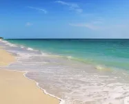 Charming Dog-Friendly, Large Private Tropical Backyard. 3 Bed 2 Bath Great Value Hotels in Naples Park