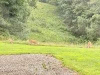 Natures Crest Retreat, Hocking Hills