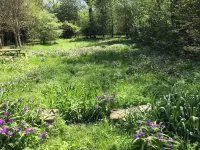 Hot Springs National Park Bungalow 5 minute drive to downtown and Bathhouse Row 핫스프링스 호텔