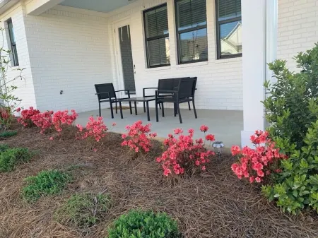 Cozy Southern Retreat #2: 3 Bedrooms with 3.5 Baths, Near Square & Ole Miss
