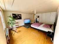 Newly Furnished Beautiful Old Building Apartment in the Center with Apple TV O1 Hotel di Gaiserwald