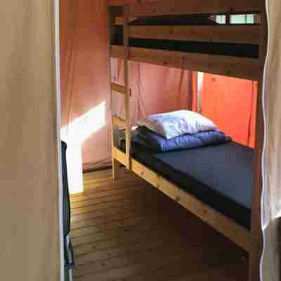 Safari Tent in Netherlands Near Dunes & Sea Rooms