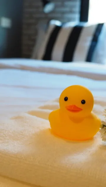 สตูดิโอพื้นฐาน