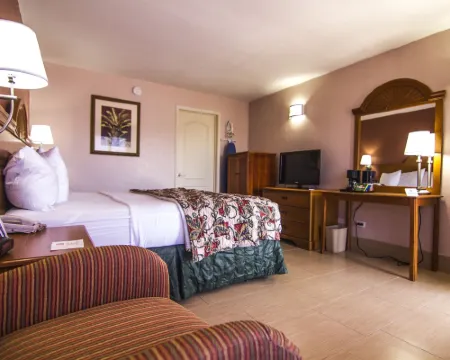 ラ コパ ホテル マッカレンのホテル