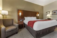 Comfort Inn & Suites Streetsboro - Kent Hotels in Streetsboro