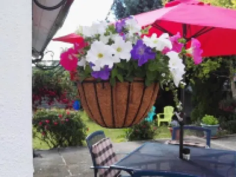 The Vee Guest Accommodation