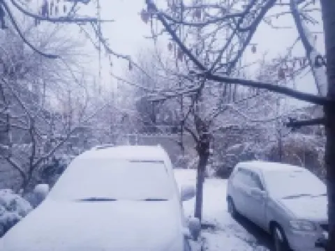 New Gojal Hotel and Restaurant