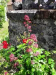 charm and comfort of the campaign in the castles of the Loire.