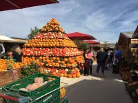 Vacation apartment Schickolores Hotels in Eibenstock